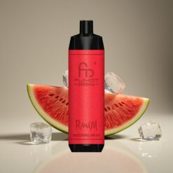 Wholesale Suomi RandM Fumot Shisha 10000 Puffaa Vesimeloni Jää 18ml 850mAh 0.6ohm Type-C 0.5% Nic