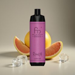 Wholesale Suomi RandM Fumot Shisha 10000 Puffs Jäähehku 18ml LED Type-C 850mAh Mesh 0.5% Nikotiini