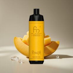 Wholesale Suomi RandM Fumot Shisha 10000 Puffs Mango Jää 18ml 850mAh 0.6ohm Type-C 0.5% Nikotiinia