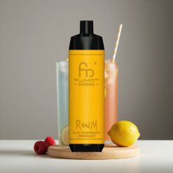 Wholesale Suomi RandM Fumot Shisha 10000 Puffs Sininen Vadelma Sitruunalimsa LED Mesh Coil Type-C 18ml