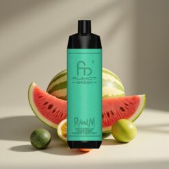 Wholesale Suomi RandM Fumot Shisha 10000 Puffs Vesimeloni Hunajameloni Passiohedelmä Mint Mesh Coil Type-C