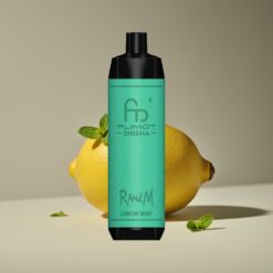 Wholesale Suomi RandM Fumot Shisha 10000 Pussit Sitruuna Minttu LED Type-C 18ml 850mAh 0.6ohm Mesh 0.5% Nic