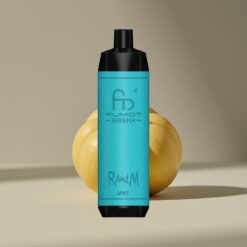 Wholesale Suomi RandM Fumot Shisha 10000 Tupaa Minttumaku LED Type-C 18ml 850mAh 0.6ohm 0.5%