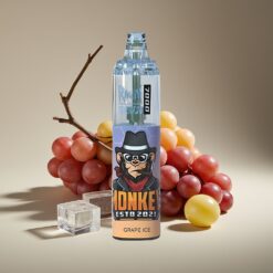 Wholesale Suomi RandM Fumot Tornado 7000 Puhallus Viinijää 14ML 850MAH Type-C RGB