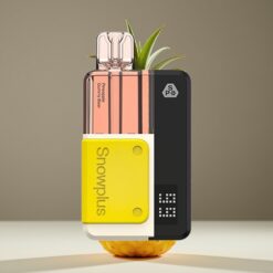 Wholesale Suomi Snowplus Swift 5000 Ananas Karkki Karhu Dual Mesh 1000mAh 43x81x25mm