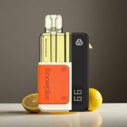 Wholesale Suomi Snowplus Swift 5000 Puffs Mustikka Sitruuna Jää Dual Mesh 1000mAh 2+10ml 2%