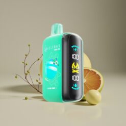 ELF BAR RAYA D3 25000 Tupaa Alppiminttu 23ml 850mAh