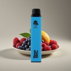 Wholesale Suomi Aivono Aim Bingo 4000 Puffs Sininen Vadelma Kertakäyttöinen Höyrystin 10mL 1000mAh