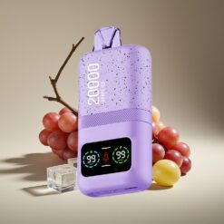 Wholesale Suomi Aivono Aim Magic 20000 Puffs Viinijää Mesh LCD Type-C