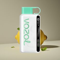 Wholesale Suomi VOZOL STAR 9000/12000 Kertakäyttöinen Höyrystin Sitruuna Mintti S.i.L.C TECH 650mAh