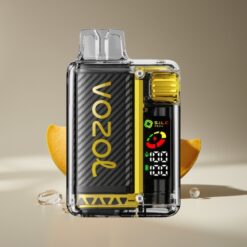 Wholesale Suomi VOZOL Vista 20000 Tupaa Manga-Jää Ladattava Uusiutuva OLED MCU S.i.L.C